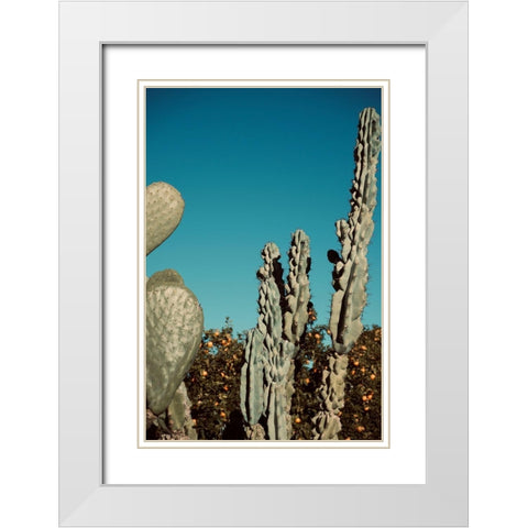 Cactus V White Modern Wood Framed Art Print with Double Matting by Singleton, Ashley