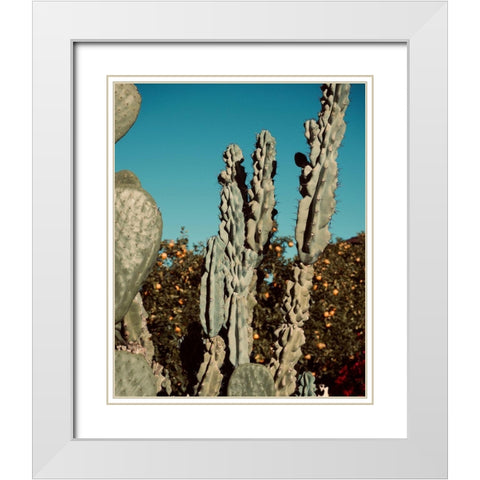 Cactus VI White Modern Wood Framed Art Print with Double Matting by Singleton, Ashley