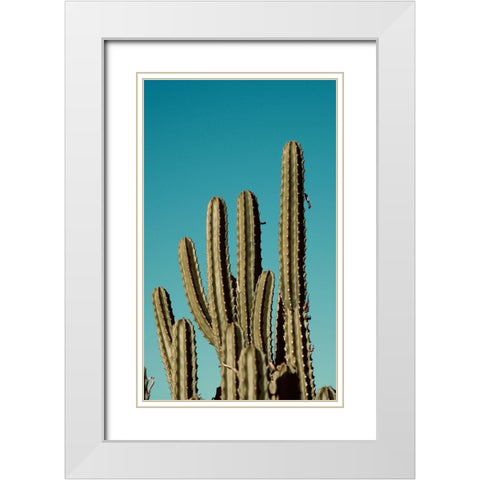 Cactus VII White Modern Wood Framed Art Print with Double Matting by Singleton, Ashley