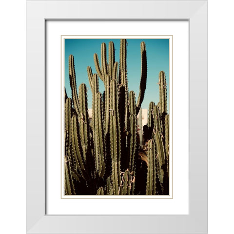 Cactus VIII White Modern Wood Framed Art Print with Double Matting by Singleton, Ashley