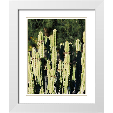 Cactus IX White Modern Wood Framed Art Print with Double Matting by Singleton, Ashley