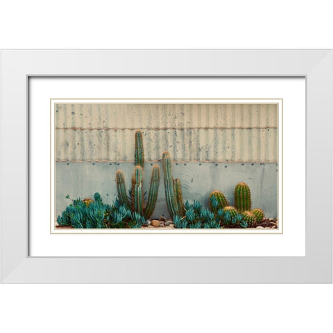 Cactus Garden White Modern Wood Framed Art Print with Double Matting by Singleton, Ashley
