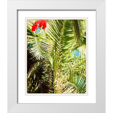 Tropics White Modern Wood Framed Art Print with Double Matting by Singleton, Ashley