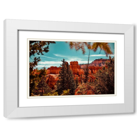 Bryce Canyon White Modern Wood Framed Art Print with Double Matting by Singleton, Ashley
