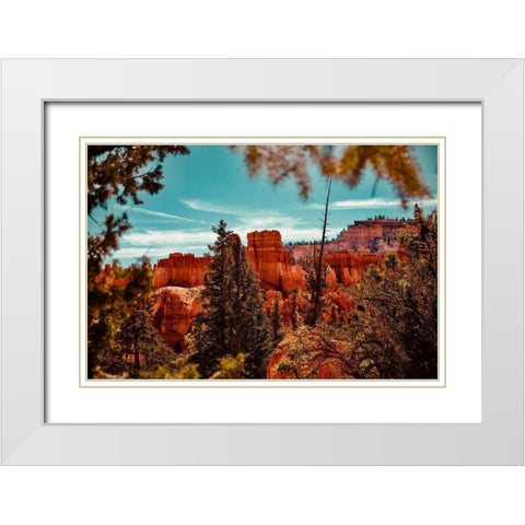 Bryce Canyon White Modern Wood Framed Art Print with Double Matting by Singleton, Ashley