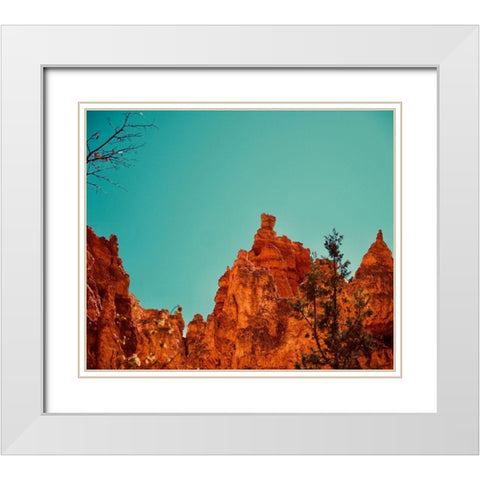 Natures Beauty White Modern Wood Framed Art Print with Double Matting by Singleton, Ashley