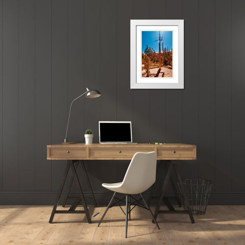 Timeless Treasures White Modern Wood Framed Art Print with Double Matting by Singleton, Ashley