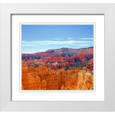 Bryce Canyon Overlook White Modern Wood Framed Art Print with Double Matting by Singleton, Ashley
