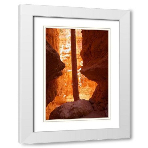 Determined White Modern Wood Framed Art Print with Double Matting by Singleton, Ashley