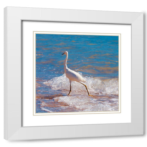 Toe Dipper White Modern Wood Framed Art Print with Double Matting by Singleton, Ashley