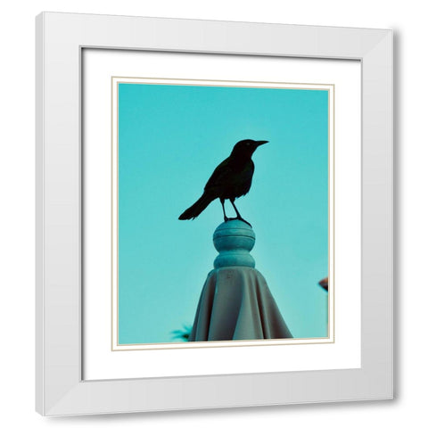 Blue Raven White Modern Wood Framed Art Print with Double Matting by Singleton, Ashley
