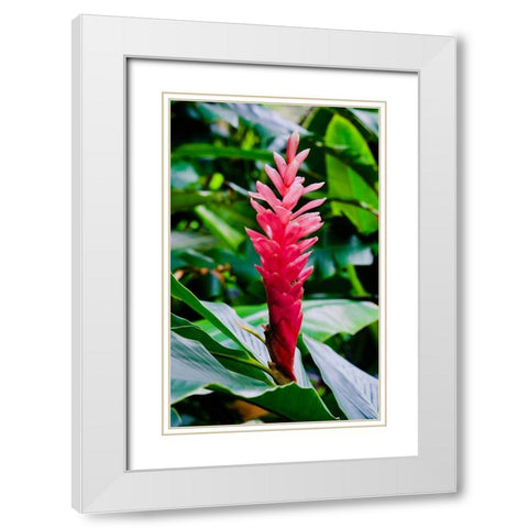 Pinky White Modern Wood Framed Art Print with Double Matting by Singleton, Ashley