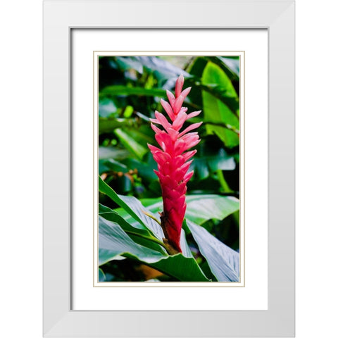 Pinky White Modern Wood Framed Art Print with Double Matting by Singleton, Ashley
