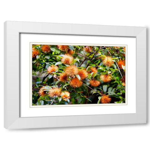 Orange Guys White Modern Wood Framed Art Print with Double Matting by Singleton, Ashley