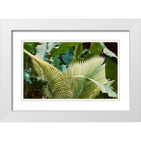 Jungle Love White Modern Wood Framed Art Print with Double Matting by Singleton, Ashley
