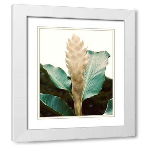 Blossom White Modern Wood Framed Art Print with Double Matting by Singleton, Ashley