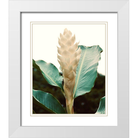 Blossom White Modern Wood Framed Art Print with Double Matting by Singleton, Ashley