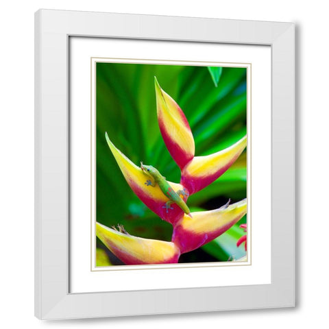 Liz White Modern Wood Framed Art Print with Double Matting by Singleton, Ashley