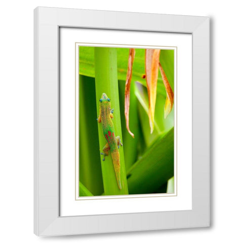 Lizs Back White Modern Wood Framed Art Print with Double Matting by Singleton, Ashley