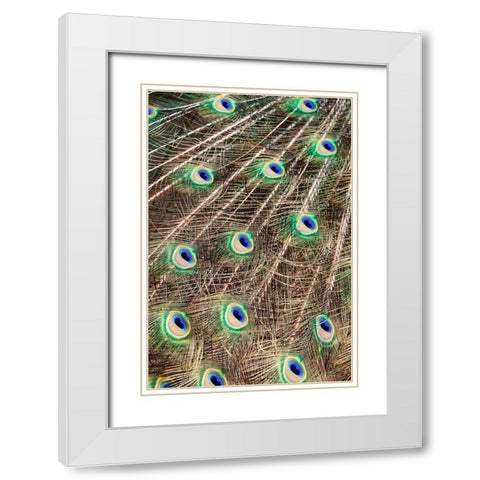 Plume White Modern Wood Framed Art Print with Double Matting by Singleton, Ashley