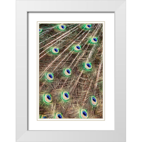 Plume White Modern Wood Framed Art Print with Double Matting by Singleton, Ashley