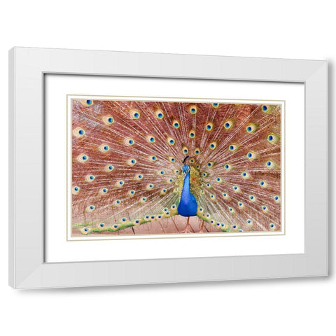 Plume III White Modern Wood Framed Art Print with Double Matting by Singleton, Ashley