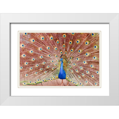 Plume III White Modern Wood Framed Art Print with Double Matting by Singleton, Ashley