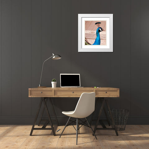 Peacock White Modern Wood Framed Art Print with Double Matting by Singleton, Ashley