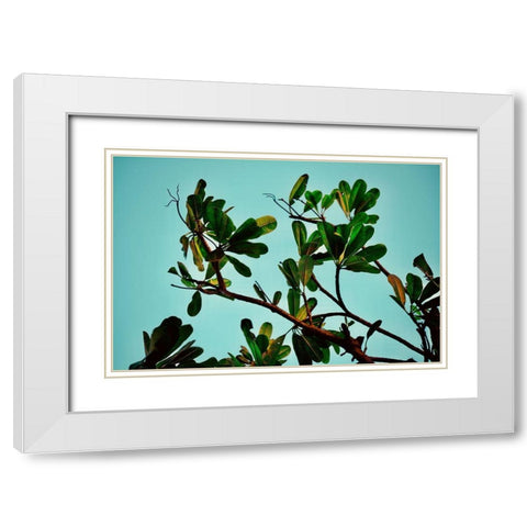 Leaves White Modern Wood Framed Art Print with Double Matting by Singleton, Ashley