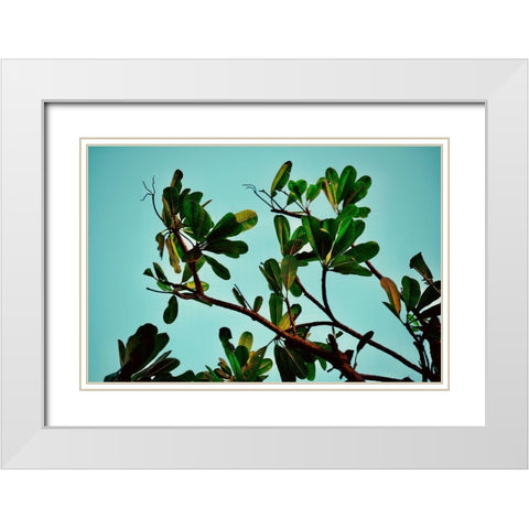 Leaves White Modern Wood Framed Art Print with Double Matting by Singleton, Ashley