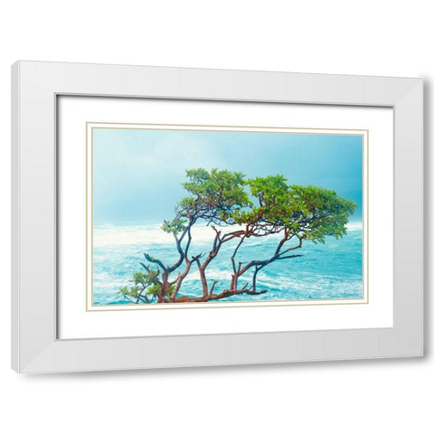 Tropical Trees White Modern Wood Framed Art Print with Double Matting by Singleton, Ashley