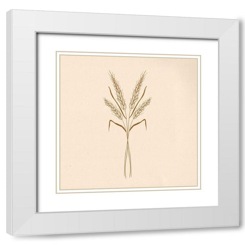 Wheat Stalks White Modern Wood Framed Art Print with Double Matting by Singleton, Ashley