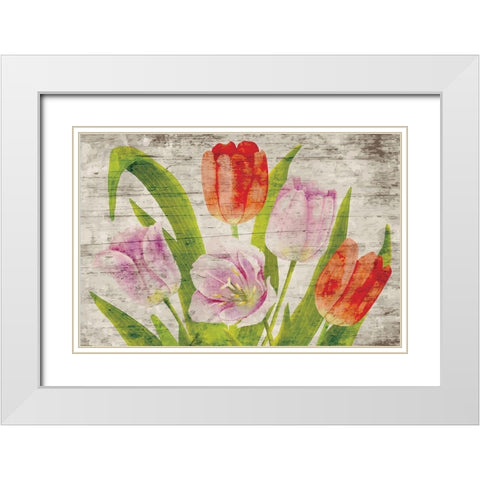 Tulips II White Modern Wood Framed Art Print with Double Matting by ND Art