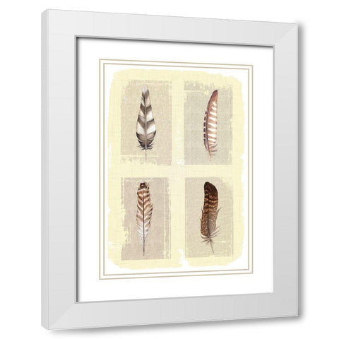 Traditional Figurative Feathers White Modern Wood Framed Art Print with Double Matting by ND Art