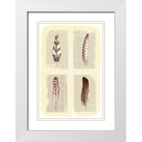 Traditional Figurative Feathers White Modern Wood Framed Art Print with Double Matting by ND Art