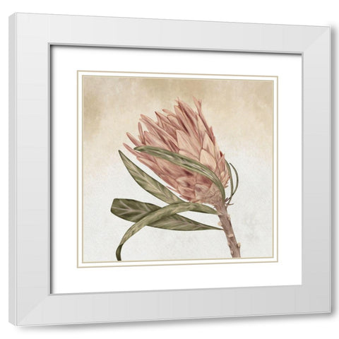 Braids and Bunches White Modern Wood Framed Art Print with Double Matting by ND Art