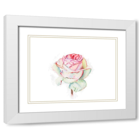 Rose White Modern Wood Framed Art Print with Double Matting by Shefranov, Olga