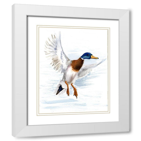 Mallard White Modern Wood Framed Art Print with Double Matting by Shefranov, Olga
