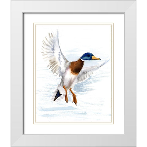 Mallard White Modern Wood Framed Art Print with Double Matting by Shefranov, Olga