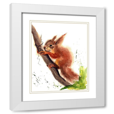 Squirrel White Modern Wood Framed Art Print with Double Matting by Shefranov, Olga
