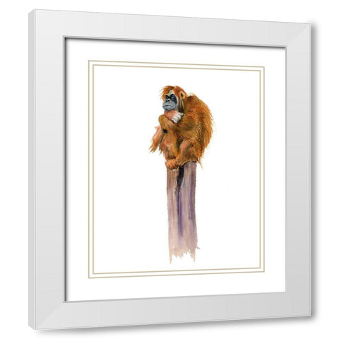 Monkey White Modern Wood Framed Art Print with Double Matting by Shefranov, Olga
