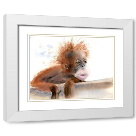 Baby Monkey White Modern Wood Framed Art Print with Double Matting by Shefranov, Olga