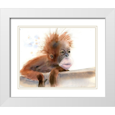 Baby Monkey White Modern Wood Framed Art Print with Double Matting by Shefranov, Olga