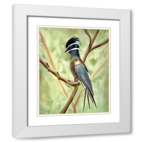 Bird on Branch White Modern Wood Framed Art Print with Double Matting by Shefranov, Olga