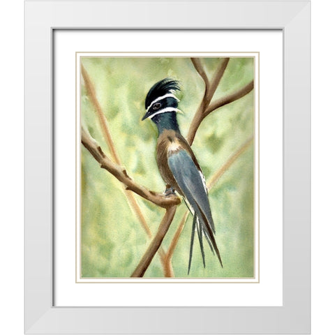 Bird on Branch White Modern Wood Framed Art Print with Double Matting by Shefranov, Olga