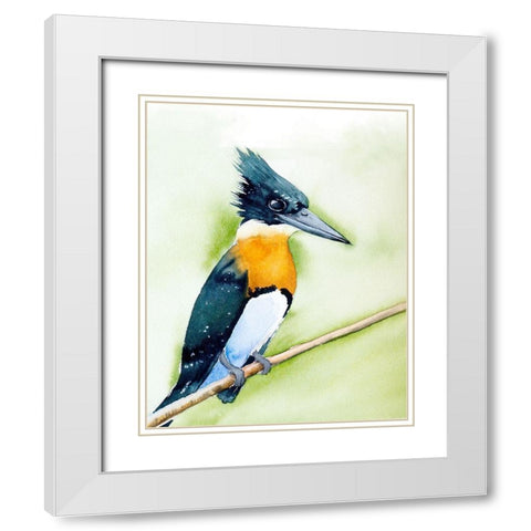 Black Beak II White Modern Wood Framed Art Print with Double Matting by Shefranov, Olga