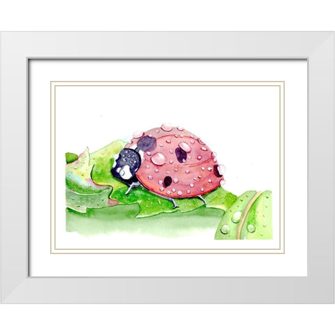 Ladybug White Modern Wood Framed Art Print with Double Matting by Shefranov, Olga