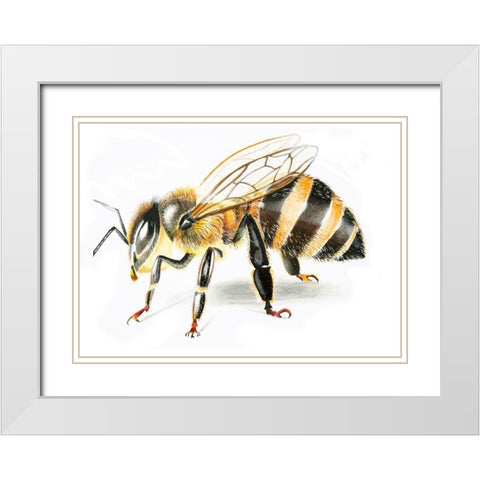 Bee II White Modern Wood Framed Art Print with Double Matting by Shefranov, Olga