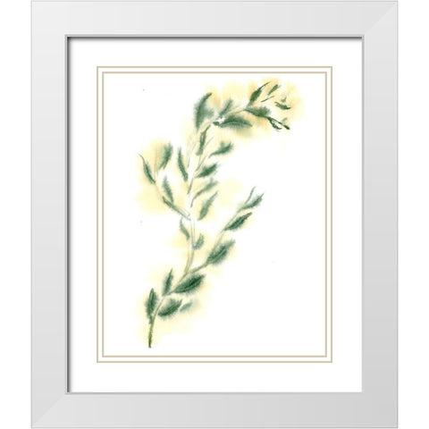 Vine III White Modern Wood Framed Art Print with Double Matting by Shefranov, Olga