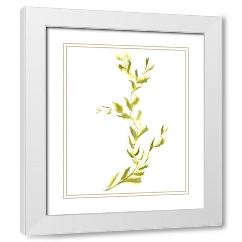 Vine IV White Modern Wood Framed Art Print with Double Matting by Shefranov, Olga